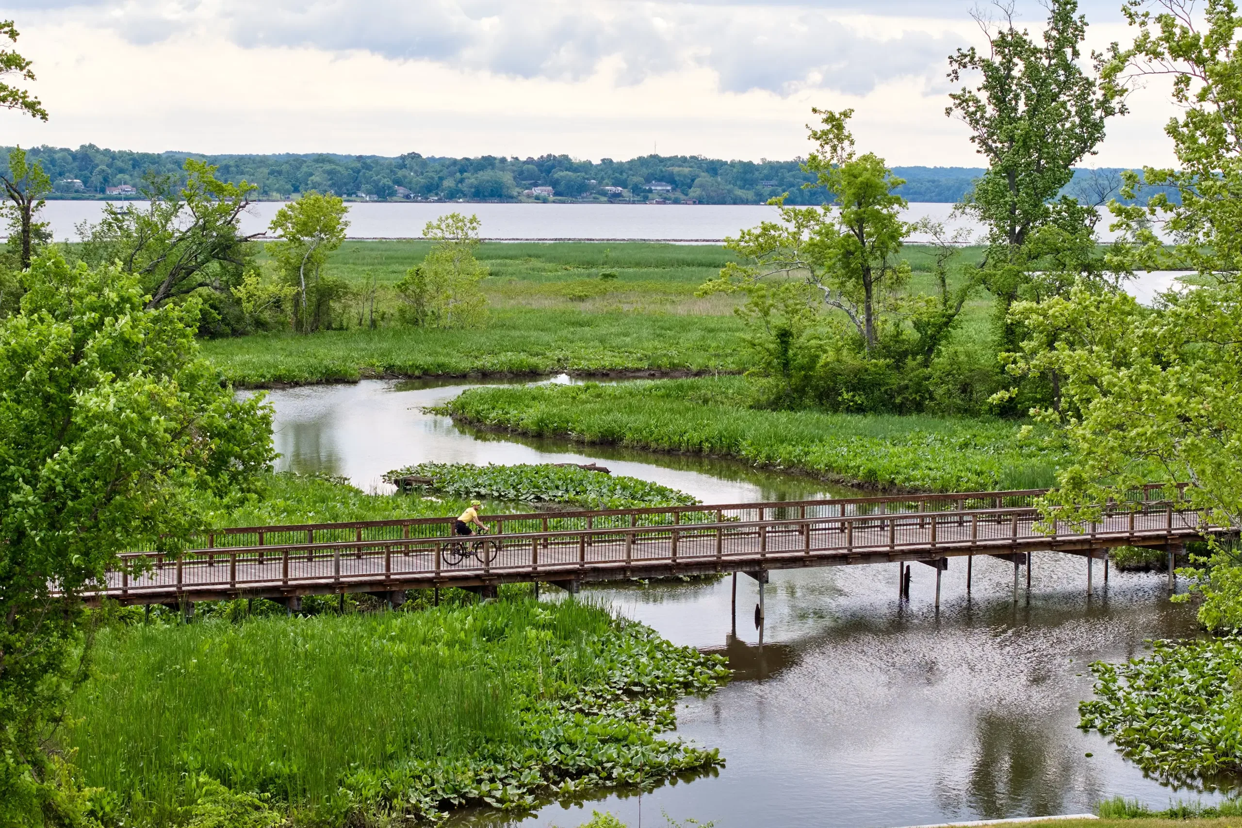 A person biking on a boardwalk