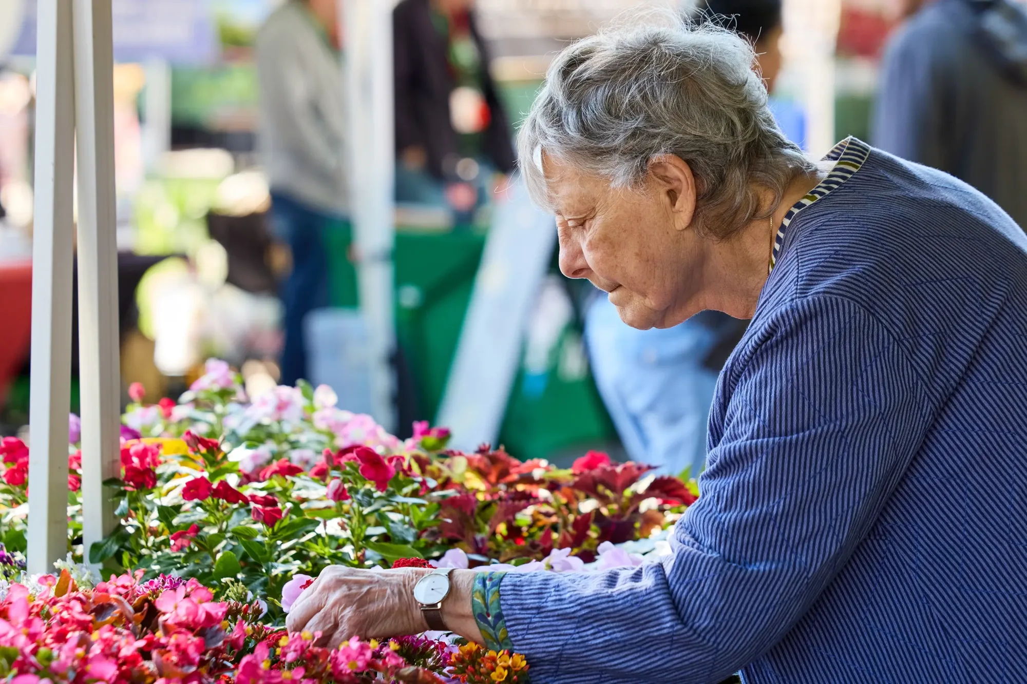 An older woman looking at flowers at a booth