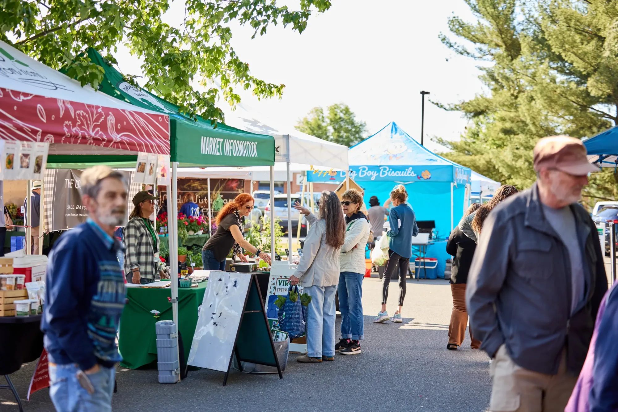People milling around the farmers market