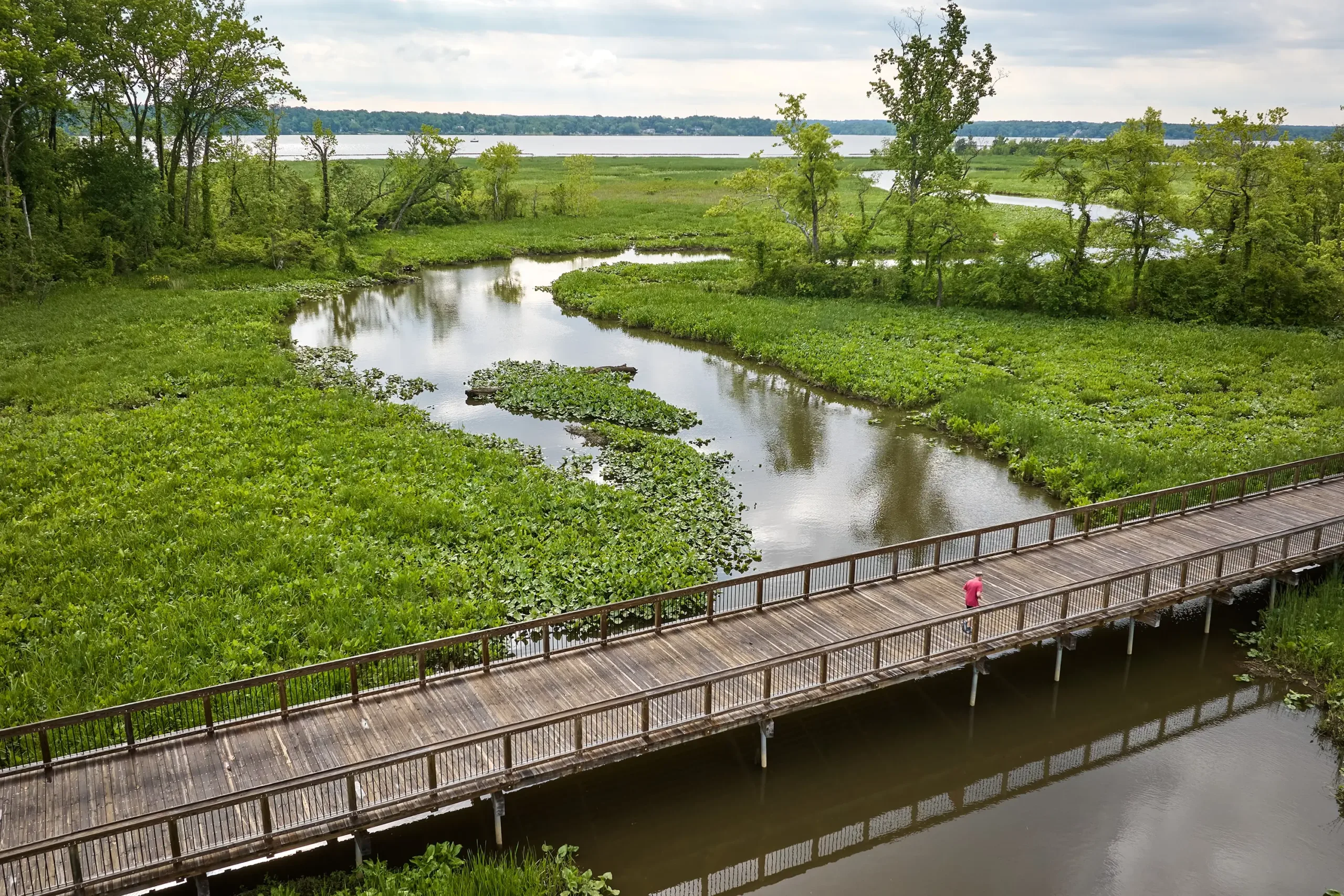 A man walking down the boardwalk