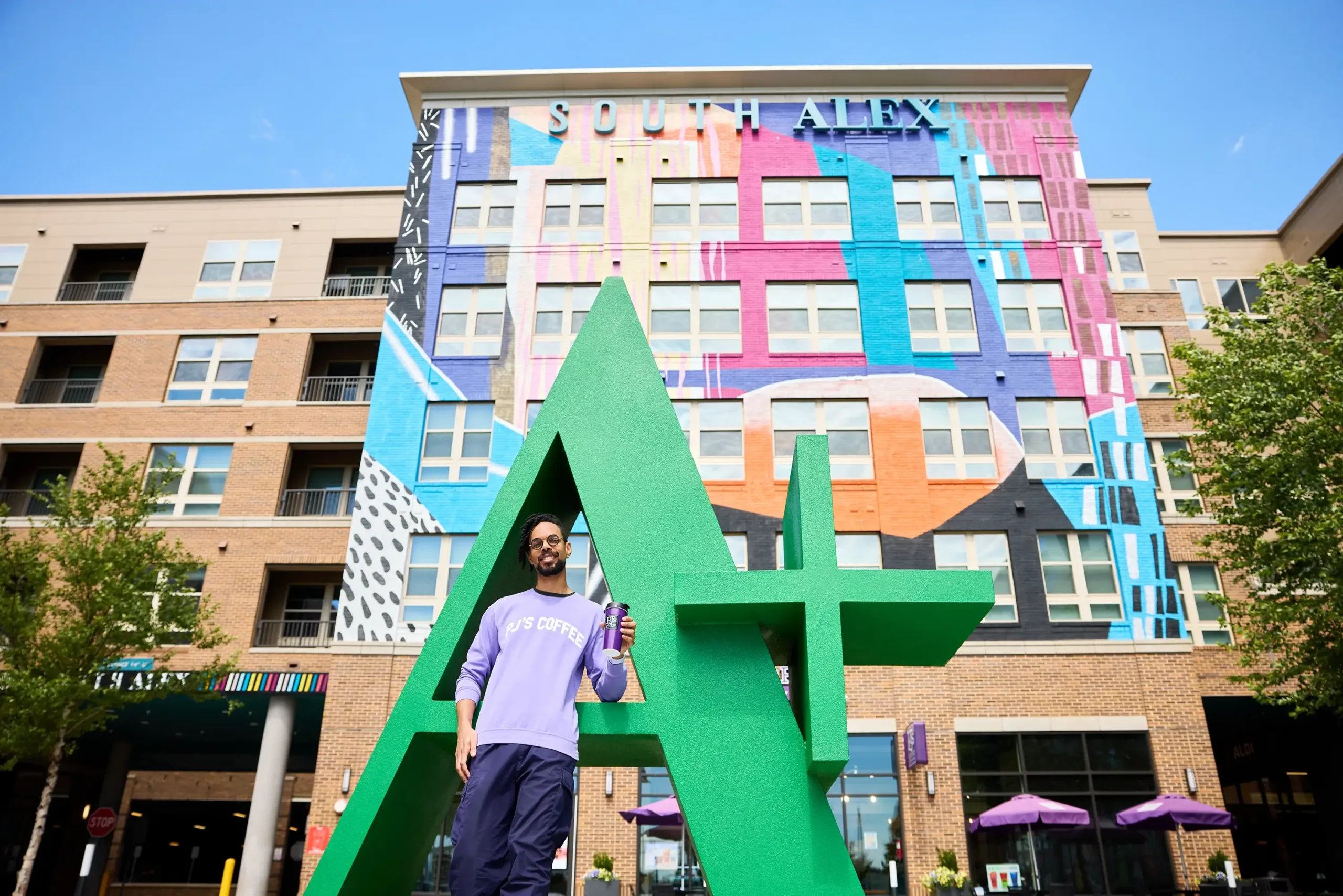 The A+ installation at South Alex