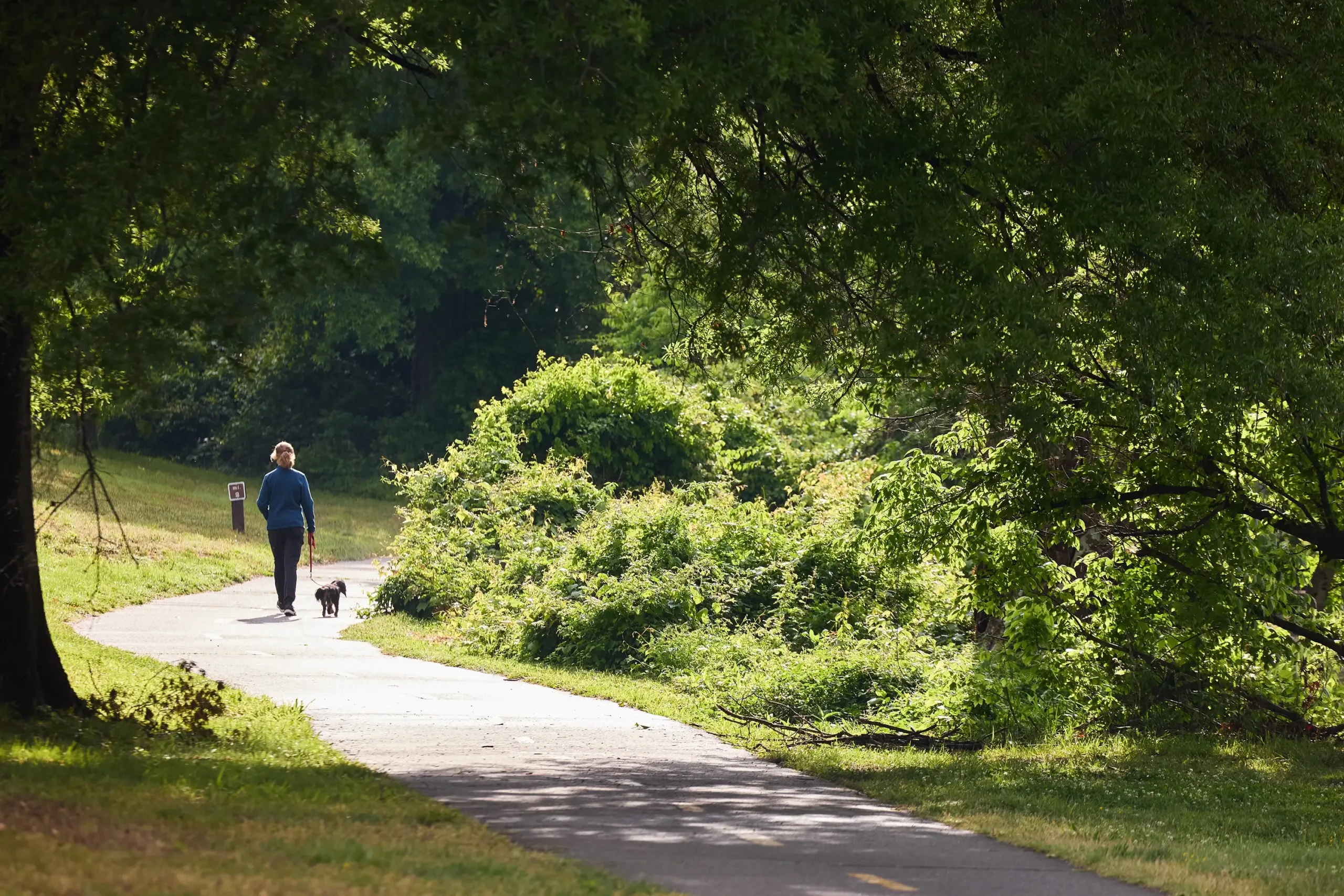 A person walking their dog on a trail